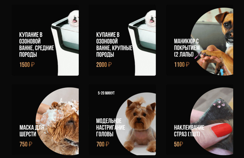 курсы для грумера